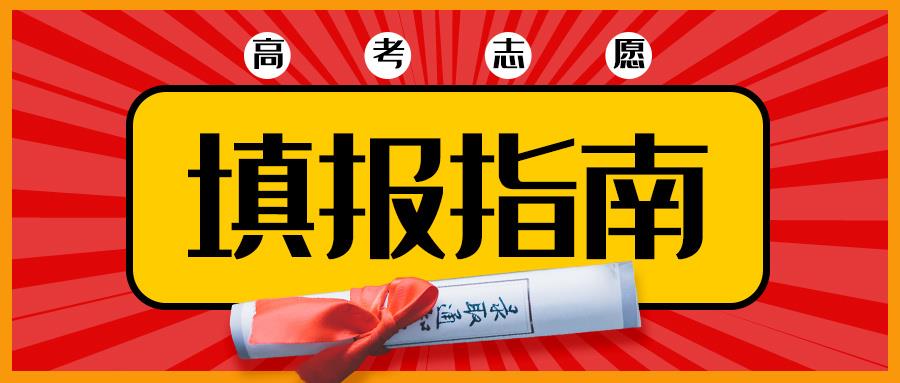 金芒果教育|分數之外,人生也有遼闊山河
